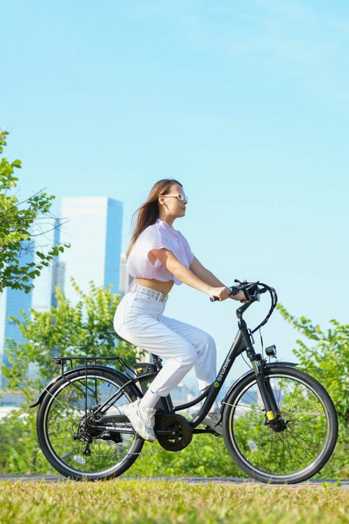 Electric Bike